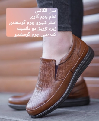 مدل الگانس
